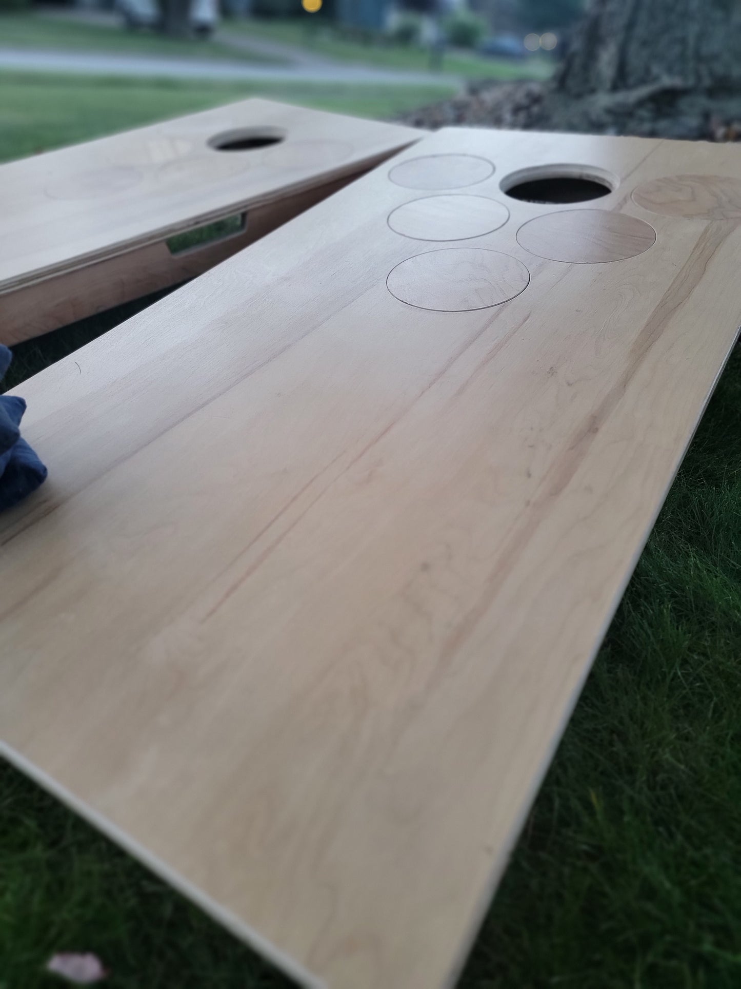 Beer Pong Cornhole Boards